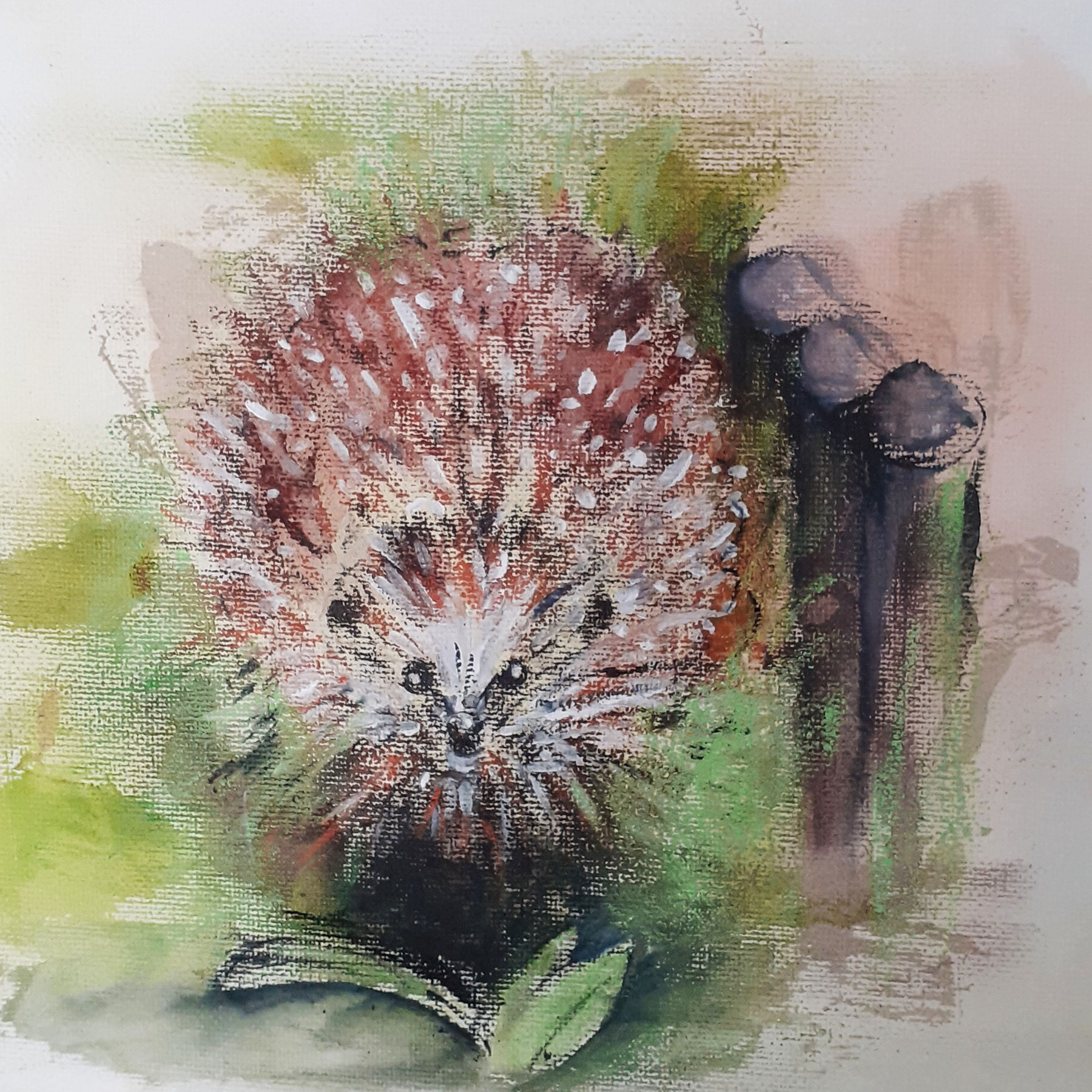 Igel, Privatbesitz