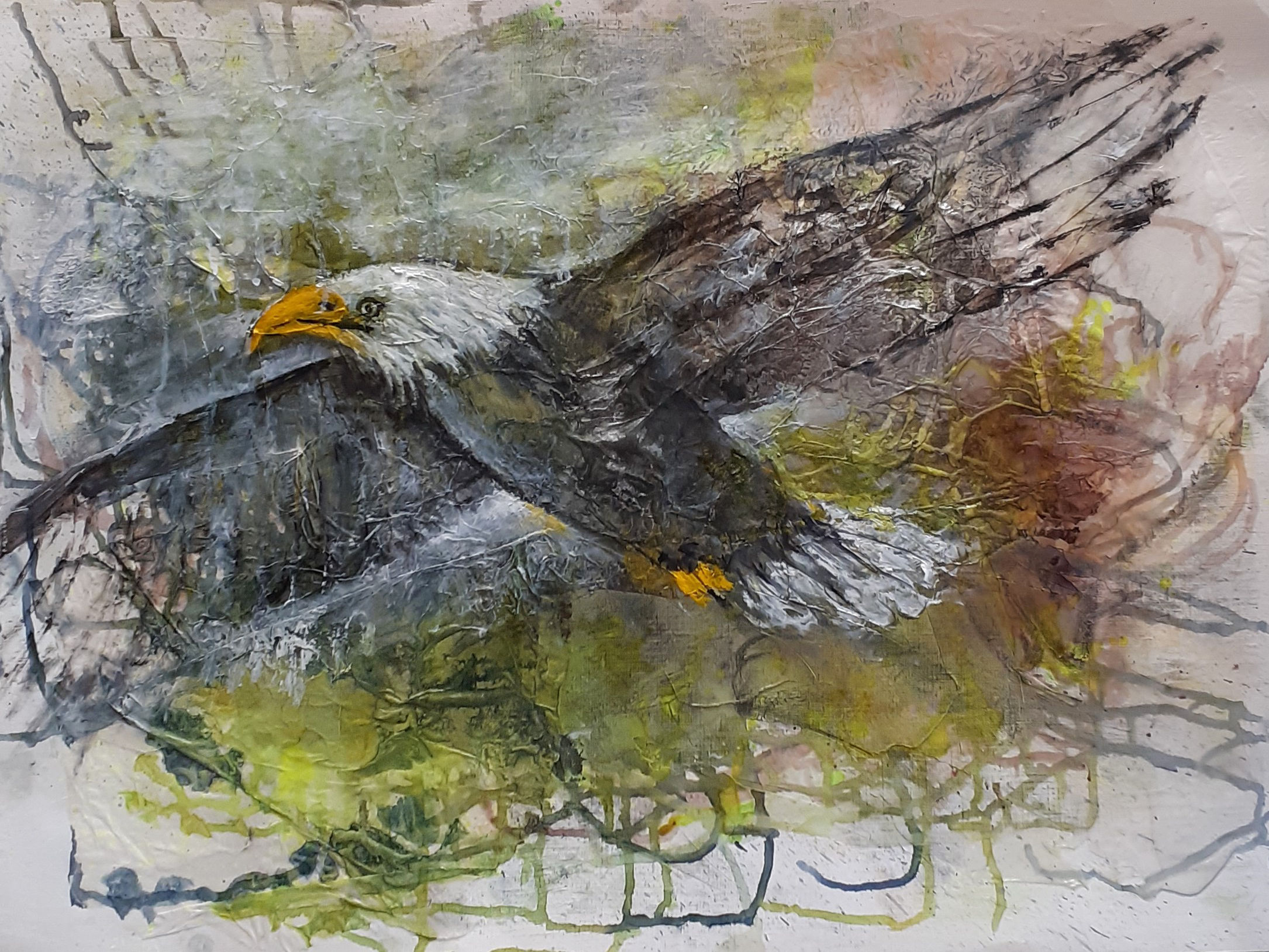 Weißkopfadler, 2025 Mischtechnik auf Leinenpapier, 42 x 56 cm